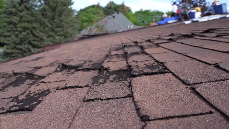 Best Asphalt Shingles Roofing  in Moorestown Lenola, NJ